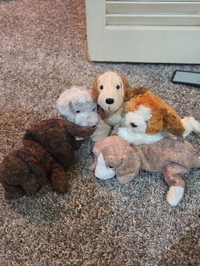 Set Of 5 Dog Beanie Babies